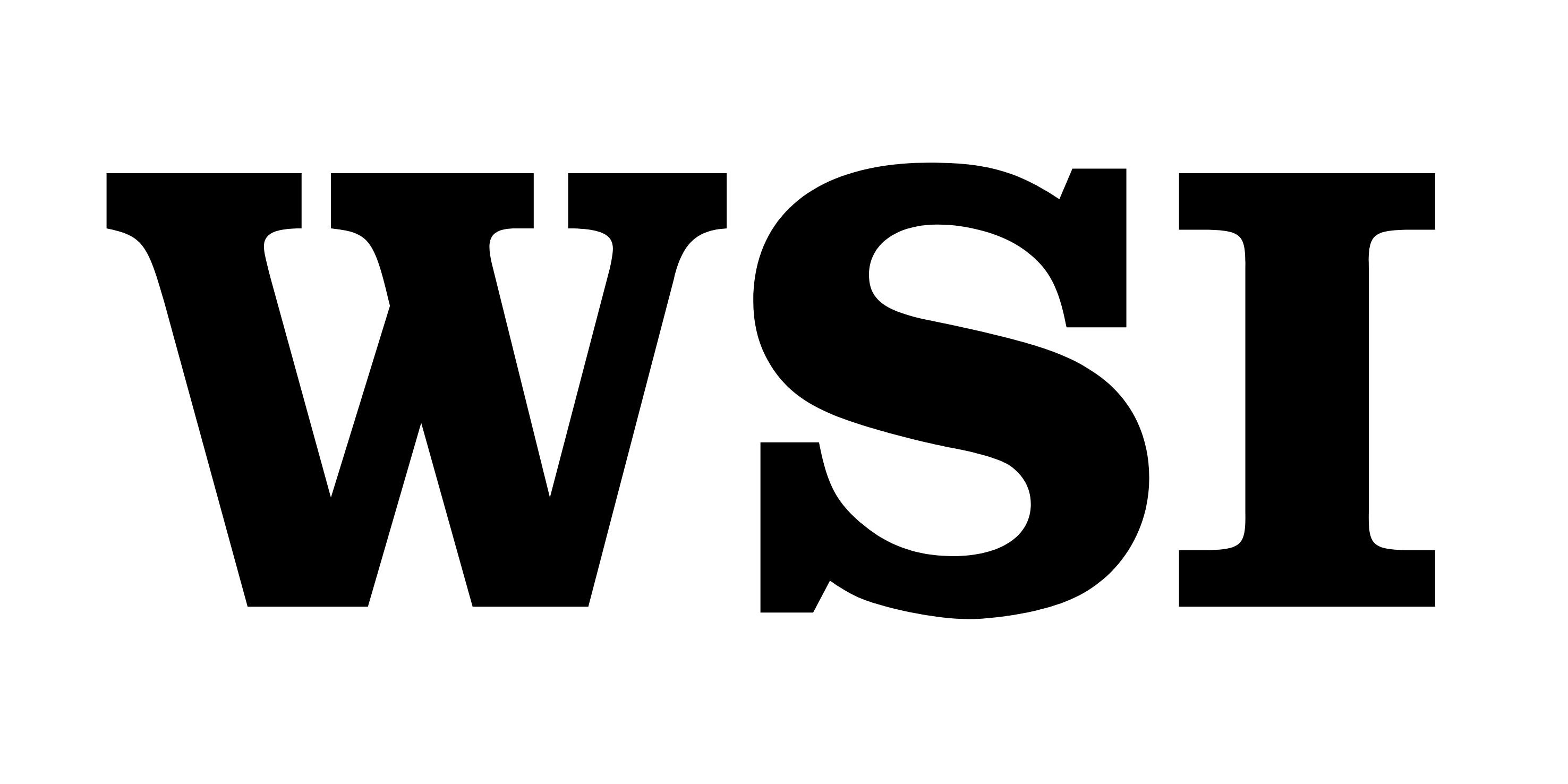 WSI Logo