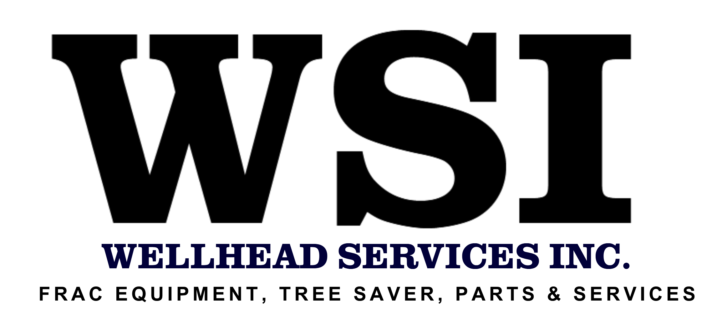 WSI Logo